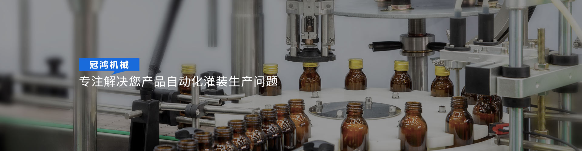 菠萝菠萝蜜在线观看新聞資訊